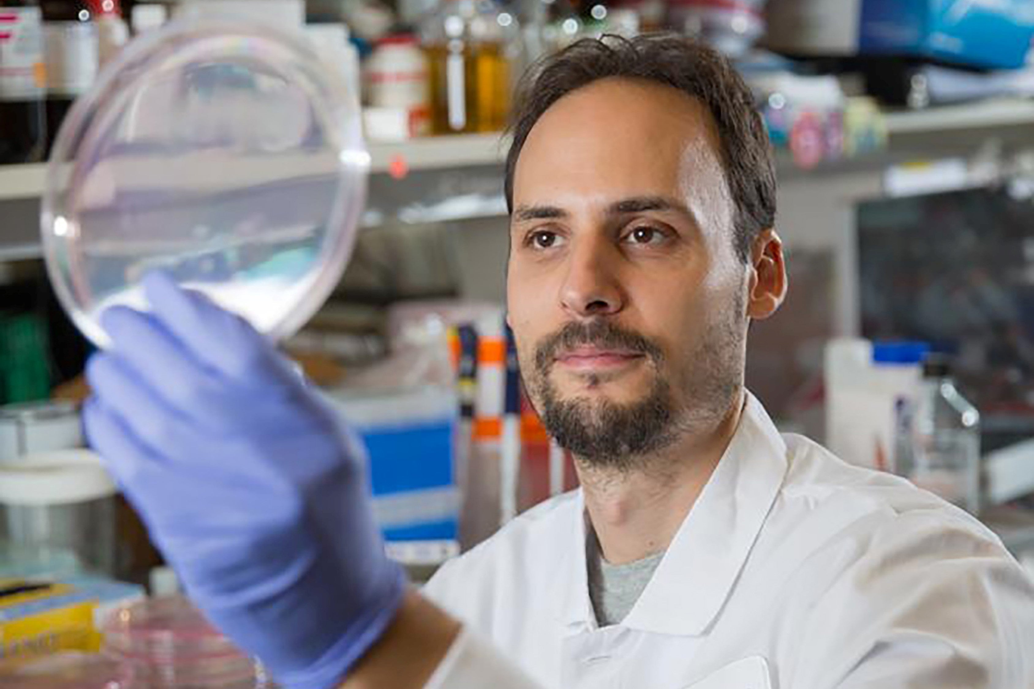 jonathan scheiman in a lab coat holding up a petri dish to examine