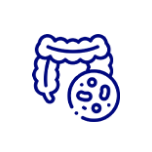 digestive track icon